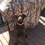 Custom Grill Cover with light weight Camo material. Chocolate Lab dog sitting near it.