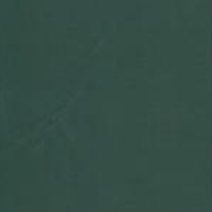 TRS_Industries_Custom_Tarp_Colors_Shelter-Rite_Forest_Green Forest Green 18 oz Vinyl