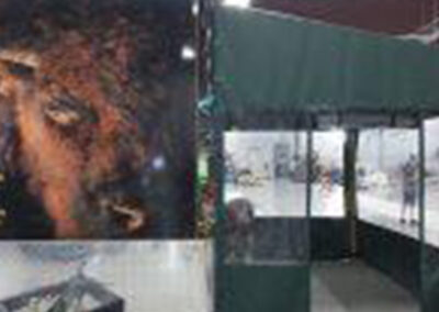 Tailgating trailer enclosure with custom door access and enclosed sides